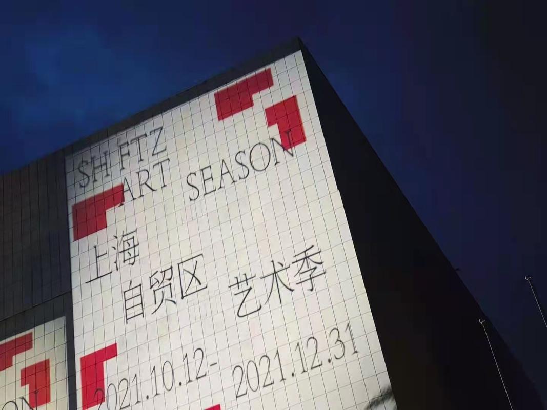 上海自贸区建设促进沪俄经贸合作与上海网站建设的协同发展